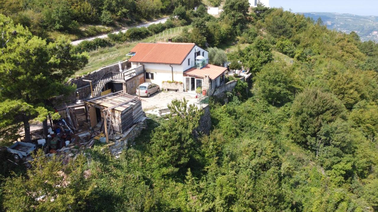 Apartments Pomjan Pogled Na Gore Eksteriør billede